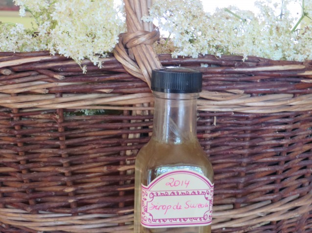 Sirop de fleurs de sureau de ma cousine