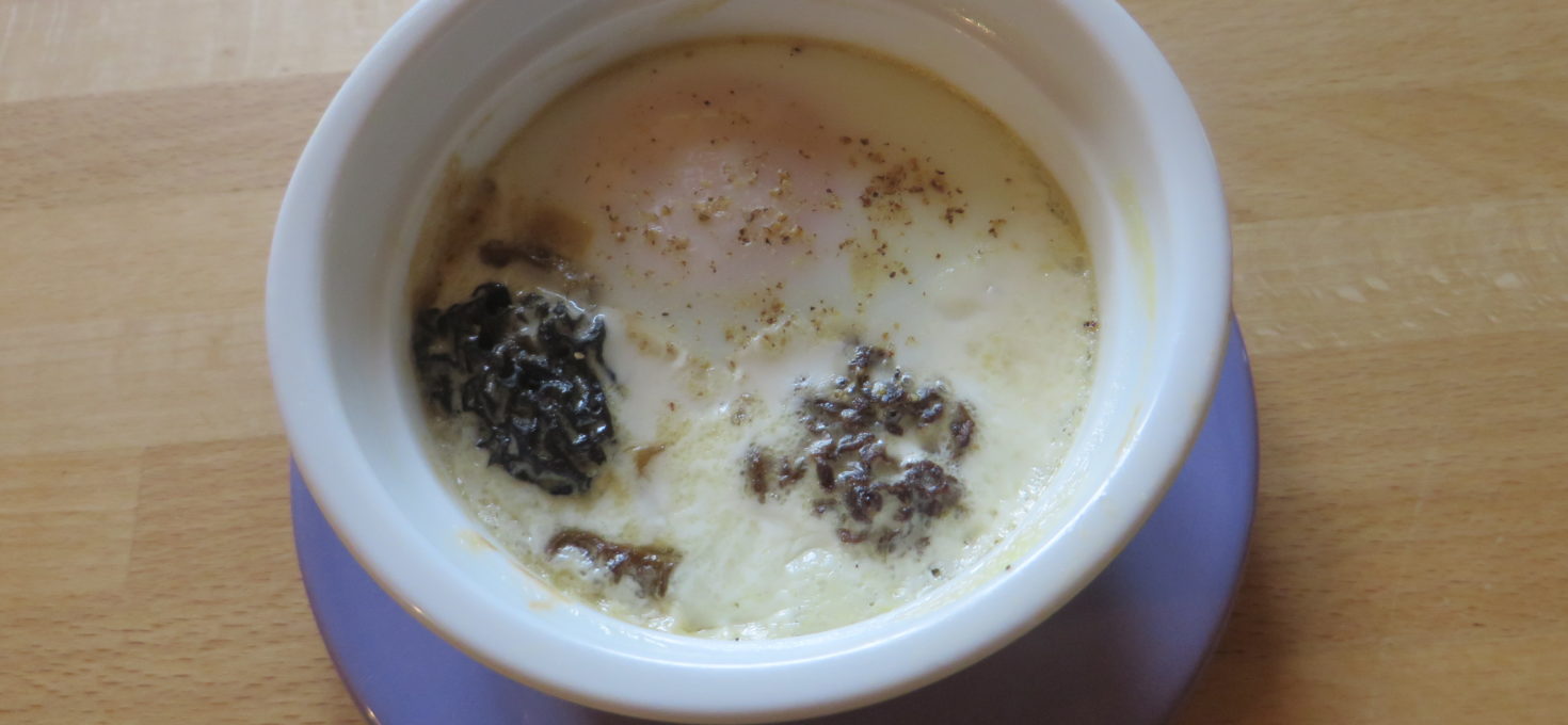 Oeufs cocotte aux morilles