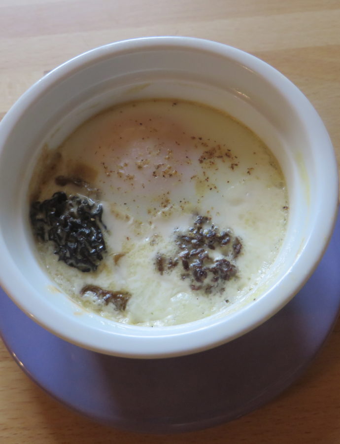 Oeufs cocotte aux morilles