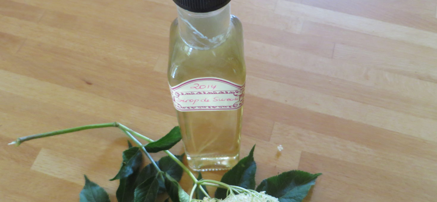 Sirop de fleurs de sureau de ma cousine