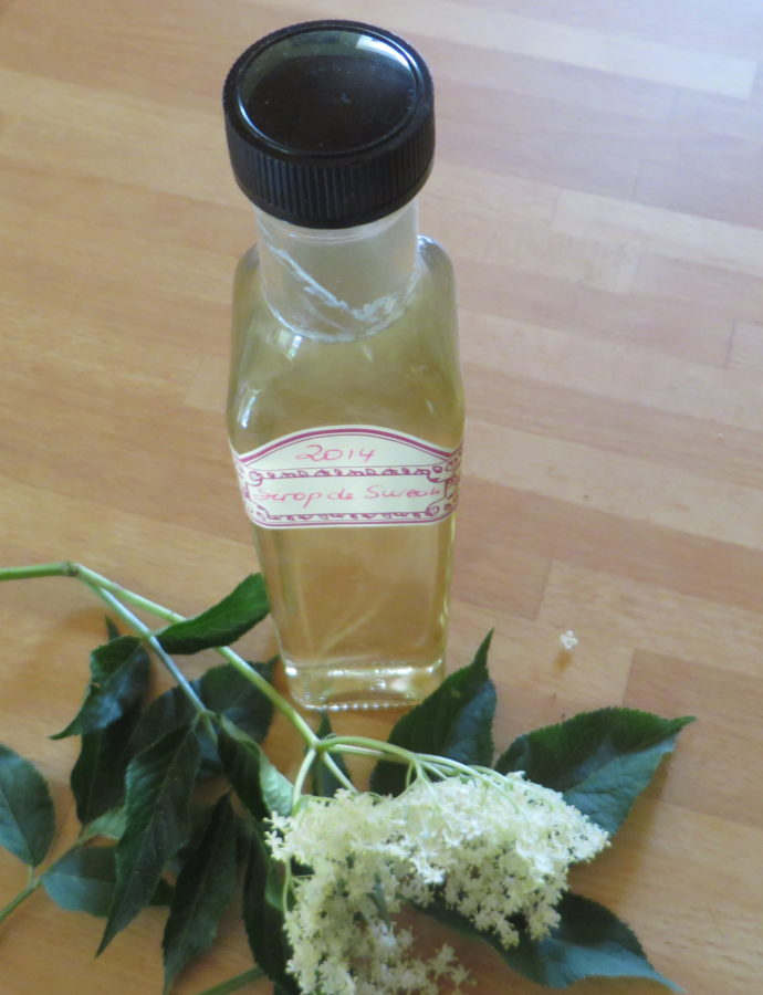 Sirop de fleurs de sureau de ma cousine